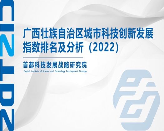 激情操骚逼视频【成果发布】广西壮族自治区城市科技创新发展指数排名及分析（2022）